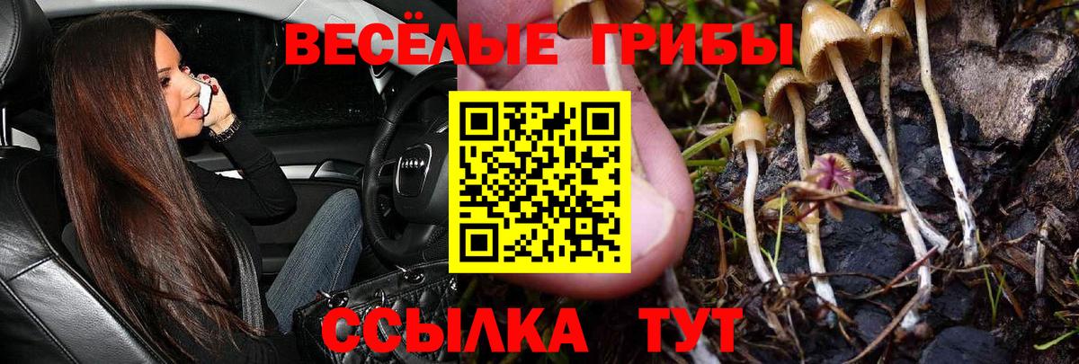 Псилоцибиновые грибы Magic Shrooms  Вход с VPN  Янаул 