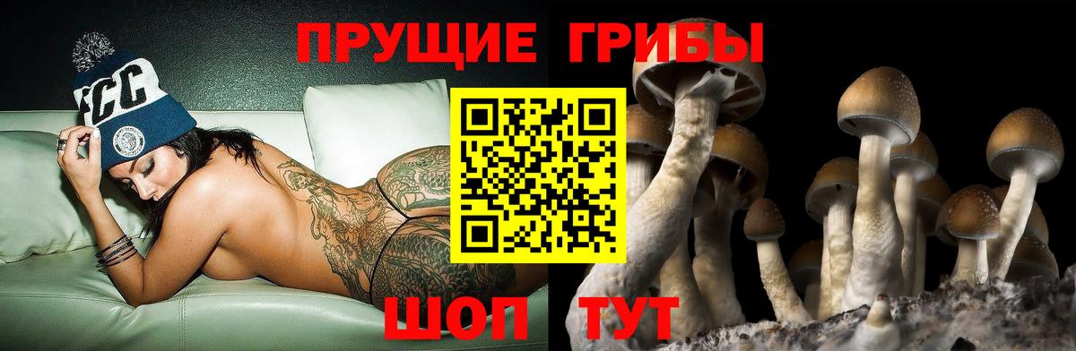 Псилоцибиновые грибы ЛСД Янаул